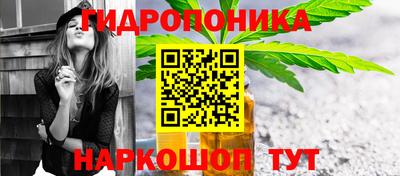стаф Донской