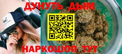 стаф Донской