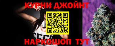 стаф Донской