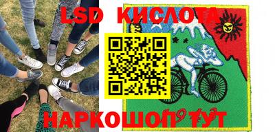 стаф Донской