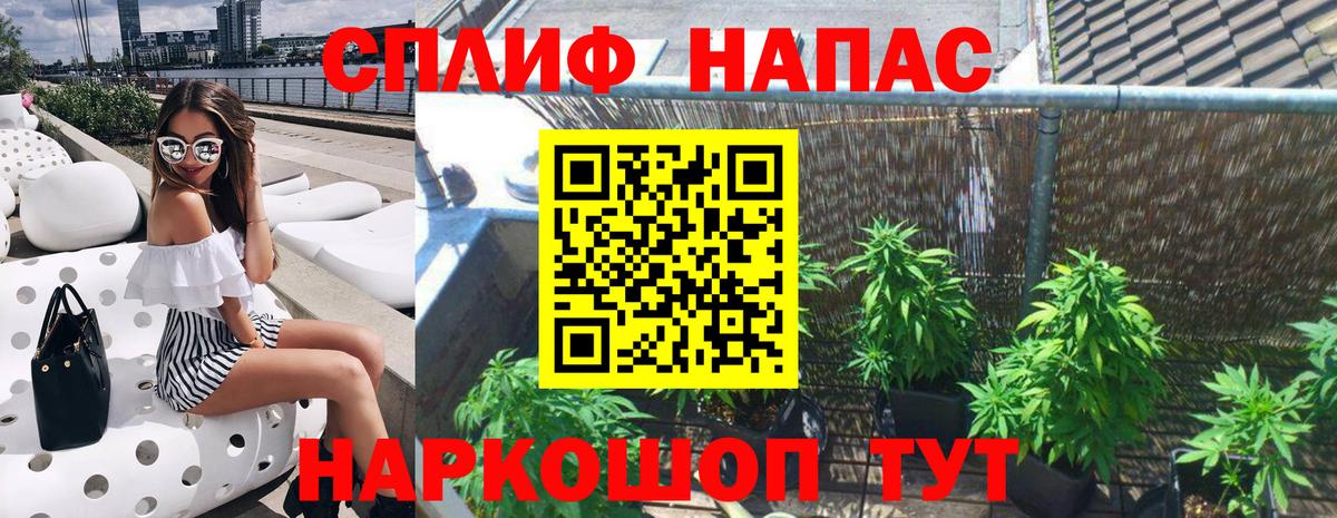 Марихуана план Королёв